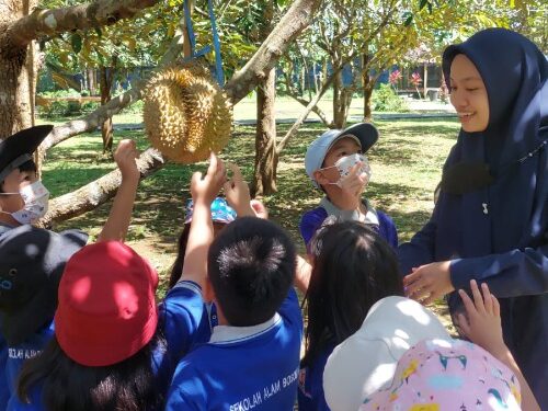 Begini Cara SD Alam Bosowa Ajari Siswa Lebih Dekat dengan Alam