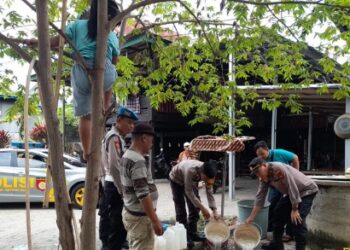 Jelang Ramadhan, Polsek Mattirobulu Sita 50 Liter Miras Jenis Tuak