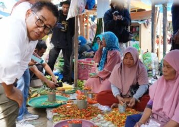 Pantau Harga Bahan Pokok, Pj Gubernur Sulbar Belanja Langsung di Pasar