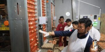 Pantau Ketersedian Telur di PT Cahaya Mario Gruop, Mentan SYL Pastikan Kebutuhan Lebaran Aman