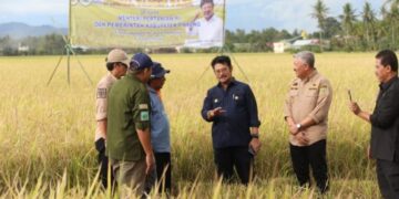 Usai Panen Raya, Mentan SYL Dorong Petani di Pinrang Percepat Masa Tanam