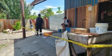Lagi, Dua Warga Toraja Dibunuh 20 Anggota KKB di Papua