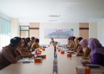 Taufan Pawe Inginkan RS dr Hasri Ainun Berikan Pelayanan Terbaik Bagi Masyrakat