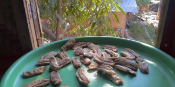 Tak ingin Mubazzir, Husnah Olah Pisang Jadi Cemilan Mirip Kurma