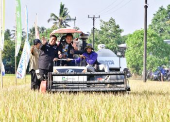 Pj Gubernur Sulsel Bahtiar didampingi Bupati Maros, Chaidir Syam  panen raya padi bersama petani di Desa Alatengae, Kecamatan Bantimurung, Jumat (20/10/2023)