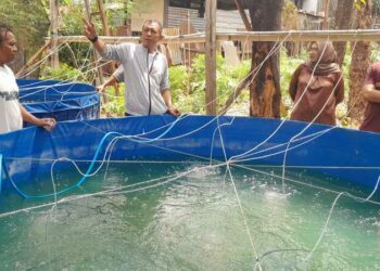 Pj Wali Kota Parepare, Akbar Ali mengunjungi lokasi pembudidayaan ikan air tawar milik warga. Lokasinya di Kelurahan Bukit Indah, Kecamatan Soreang, Kota Parepare, Ahad (5/11/2023). (Sumber Foto: Artikel News)