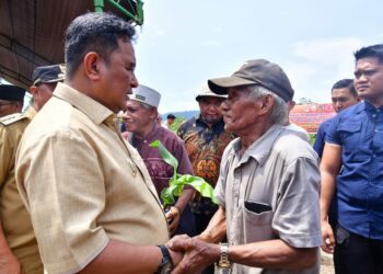 Petani Lutim Terharu Terima Bibit Pisang Cavendish