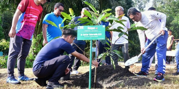 PT Vale Rehabilitasi Lahan dengan Sukun