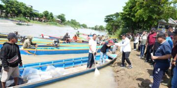 Pj Gubernur Sulsel, Bahtiar Baharuddin menyebar bibit ikan nila dan ikan mas di perairan danau Tempe, Jumat (9/2/2024).