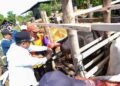 Didampingi Bupati Wajo, Amran Mahmud, ia meninjau pelaksanaan IB di peternakan milik warga di Desa Patila, Kecamatan Pammana, Jumat (9/2/2024)