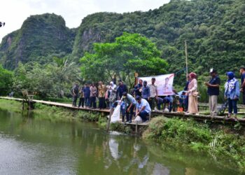 Pj Gubernur Sulsel, Bahtiar Baharuddin menebar benih ikan nila di kolam ikan kawasan wisata Rammang-rammang, (Sabtu, 16/3/2024). (Foto; Humas Pemprov Sulsel)