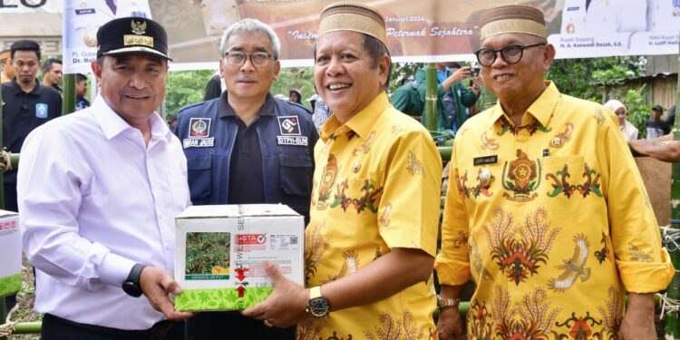 Pemkab Soppeng Sertifikatkan Cabai Tampaning Pemkab Soppeng Sertifikatkan Cabai Tampaning