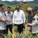 Pj Gubernur Sulsel Bahtiar Baharuddin menargetkan dua tahun ke depan Sulsel jadi penghasil nanas. (Foto: Humas Pemprov Sulsel)