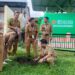 Hari Bumi, RSUD Andi Makkasau Tanam Puluhan Bibit Pohon Hari Bumi, RSUD Andi Makkasau Tanam Puluhan Bibit Pohon