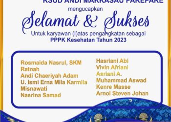 Berikut Nama-nama Karyawan RSUD Andi Makkasau Lulus PPPK 2023