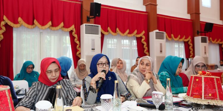 Inovasi dan Pemasaran Produk Kerajinan Sulsel Jadi Perhatian Pj Ketua Dekranasda