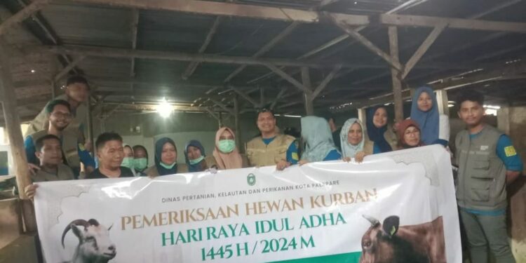 Hendak Kurban, Pemkot Parepare Imbau Masyarakat Periksa SKKH di Peternak Hendak Kurban, Pemkot Parepare Imbau Masyarakat Periksa SKKH di Peternak