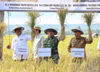 Pesta Panen Padi di Mallongi-longi, Pj Gubernur Sulsel Ungkap Berkat Kerja Kompak