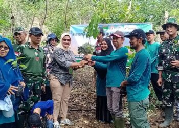 BPDAS Jeneberang Saddang Serahkan 30 Ribu Bibit untuk Kelompok Tani Hutan di Parepare