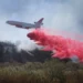 Apa Itu Zat Penghambat Api Merah Muda untuk Memadamkan Kebakaran Hutan di Los Angeles?