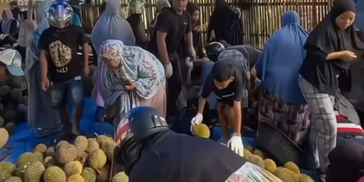 Viral “War Durian” Dapo Indo di Pinrang, Ada Harga Rp5.000 untuk Stok  Pagi