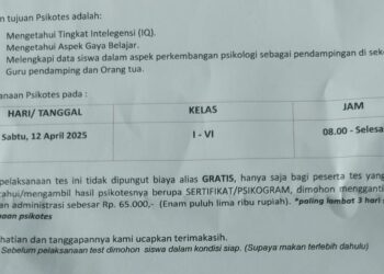 Sebuah Lembaga Gelar Tes Psikologi Sasar SD di Sidrap, Kadis Minta Sekolah Jangan Layani