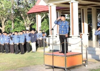 Upacara HKN, Tasming Hamid Tekankan Kedisiplinan dan Pelayanan Maksimal ASN