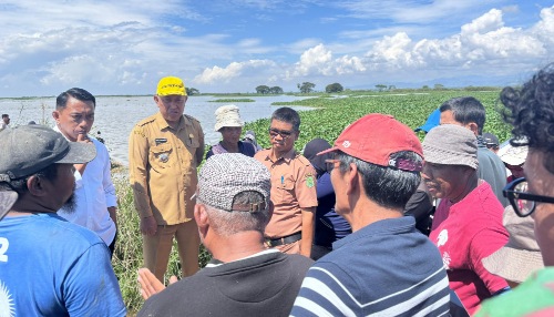Ratusan Hektare Sawah Petani Terendam, Bupati Sidrap Bakal Ambil Langkah Penanganan Ratusan Hektare Sawah Petani Terendam, Bupati Sidrap Bakal Ambil Langkah Penanganan