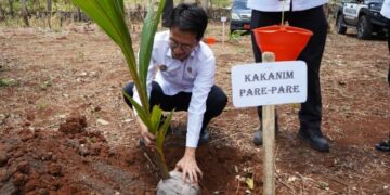 Turut Serta Tanam 5.000 Bibit Kelapa, Kakanim Parepare: Sebagai Warisan dan Perkuat Ketahanan Pangan