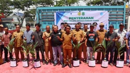 Pemkab Sidrap Salurkan 11 Ribu Bibit Kelapa Genjah ke Petani