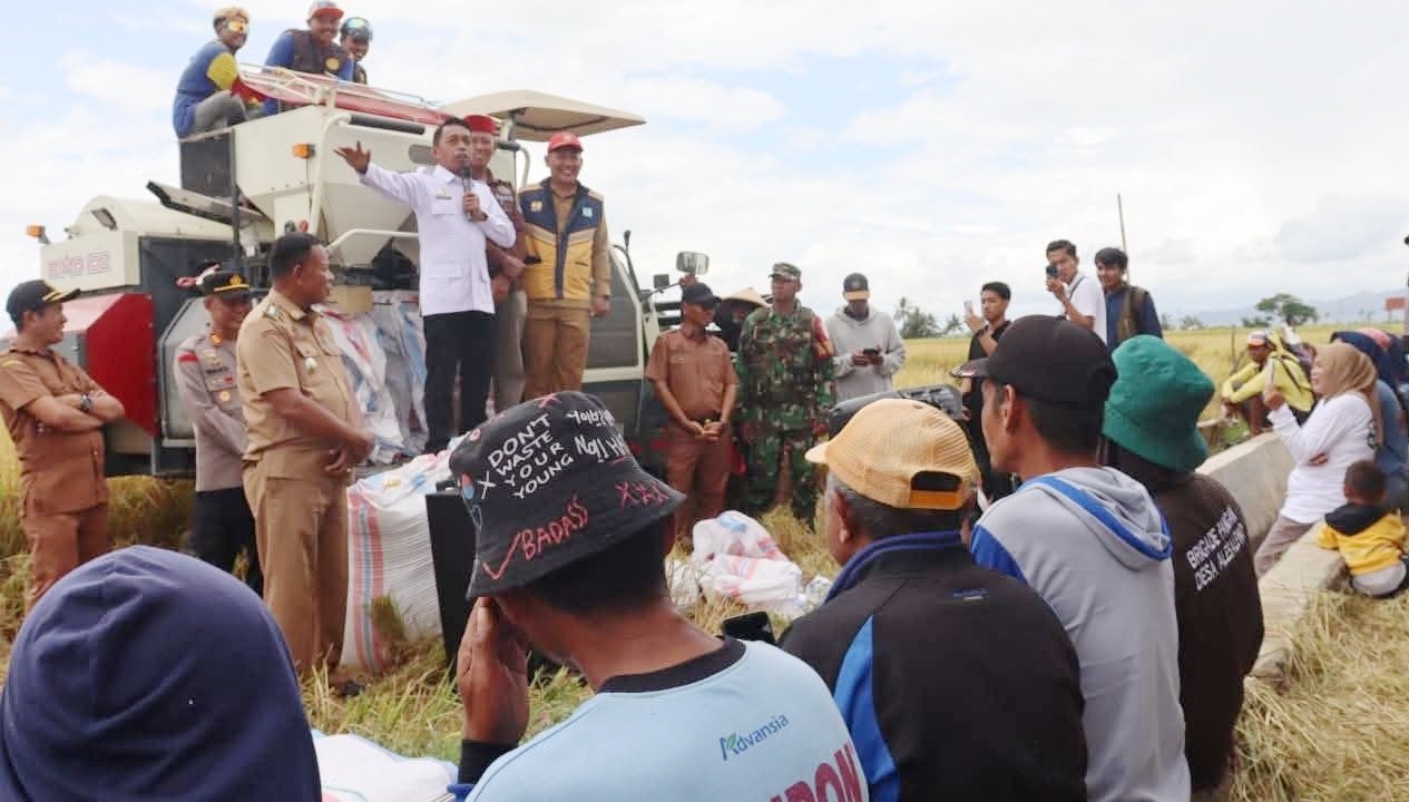 QRIS Makin Luas di Sidrap, Bupati Syaharuddin Genjot Transaksi Digital