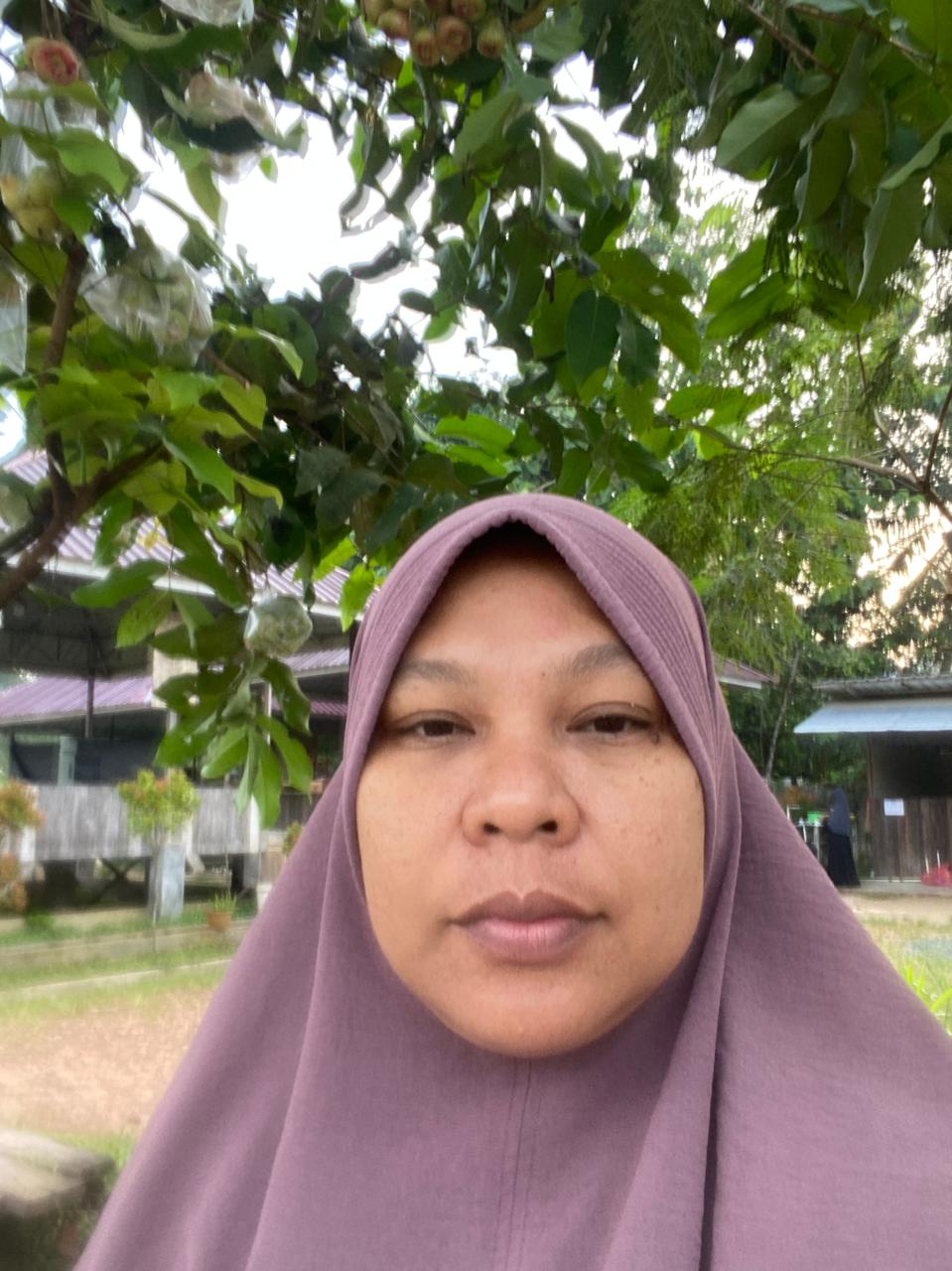 Menangisi Deforestasi