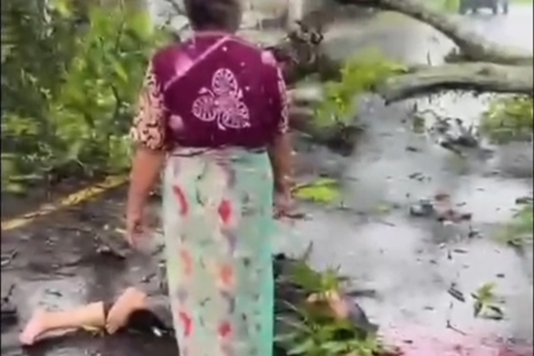 Pohon Tumbang di Pinrang Timpa Dua Pelajar, Satu Orang Meninggal Dunia